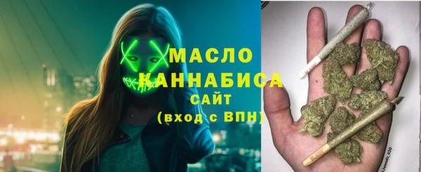 индика Бородино