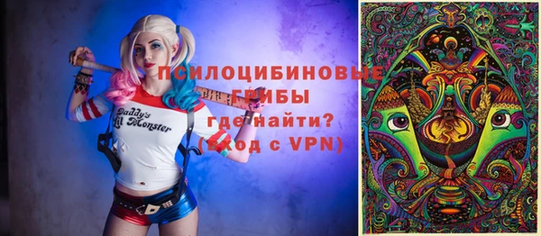 2c-b Надым