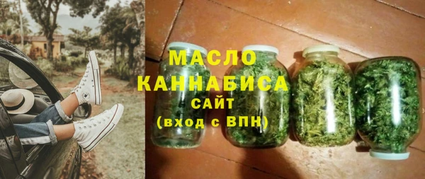 индика Бородино