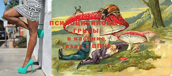 2c-b Надым