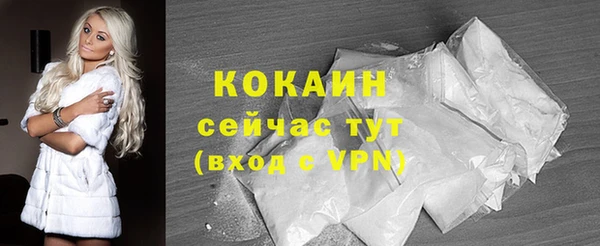 сатива Михайловка